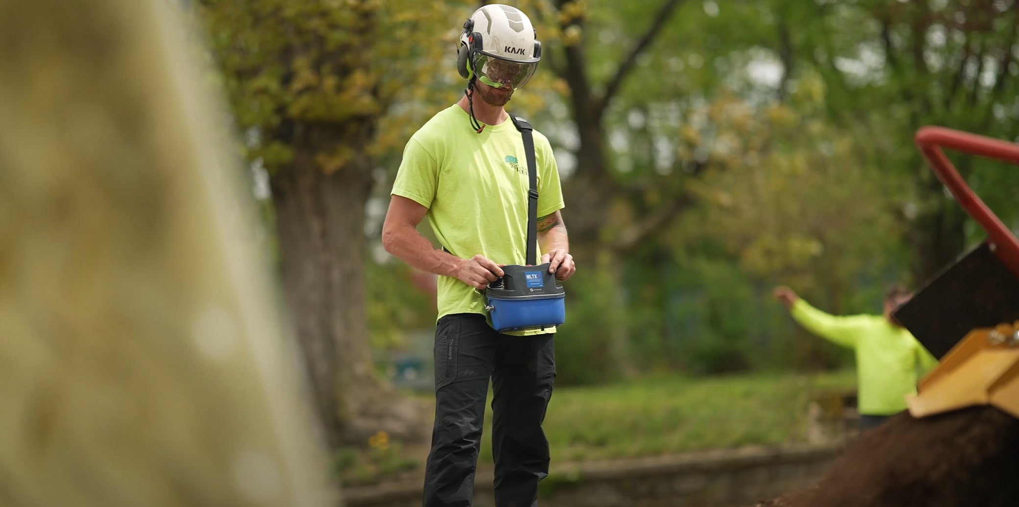 Certified arborist consulting services in Lombard, IL