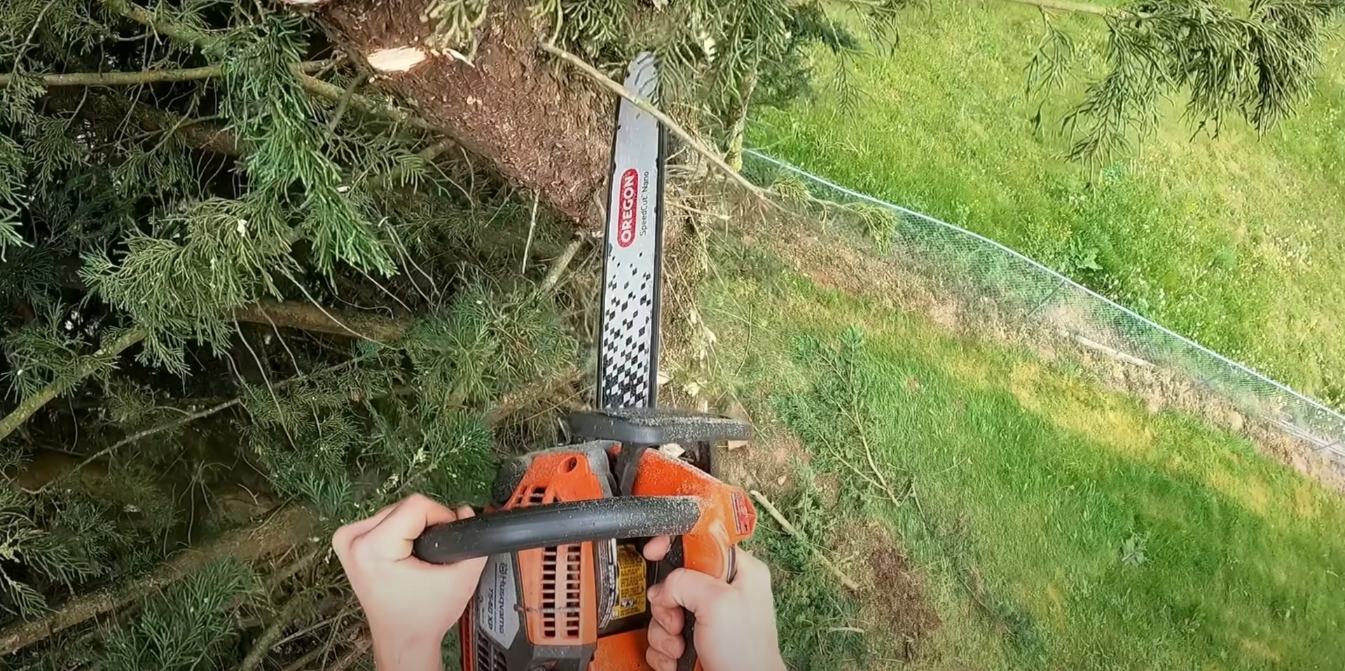 Professional tree trimming with proper safety equipment Chain saw cutting through tree branch with safety equipment visible