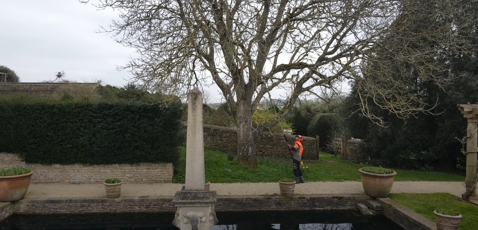 Tree Care in Landscaped Properties Tree service professional working in landscaped garden setting