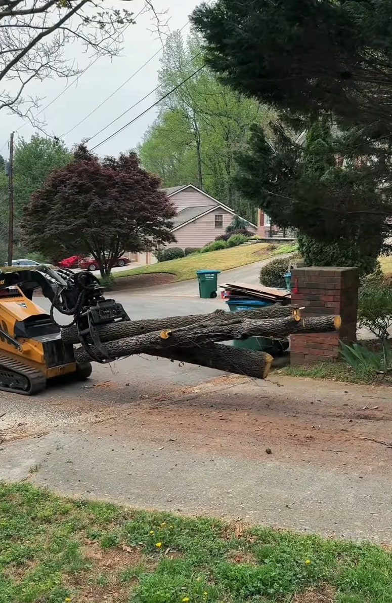Heavy Equipment Tree Removal Services Heavy equipment removing large tree from residential property
