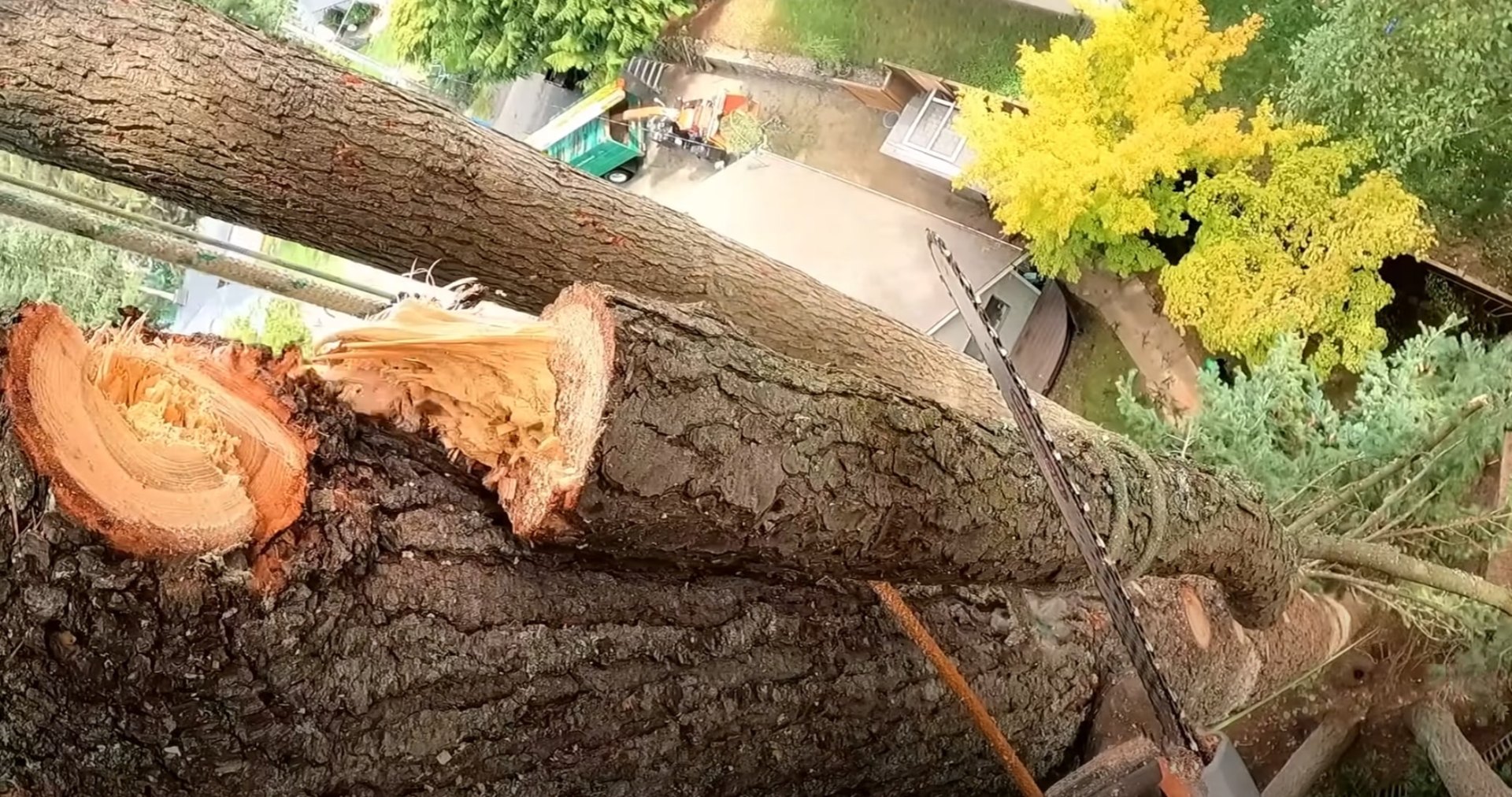 Professional Tree Cutting from Above Aerial perspective of tree cutting showing professional technique